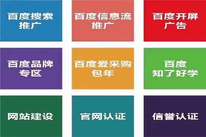成功案例揭秘：百度SEO推广公司如何助力企业品牌建设
